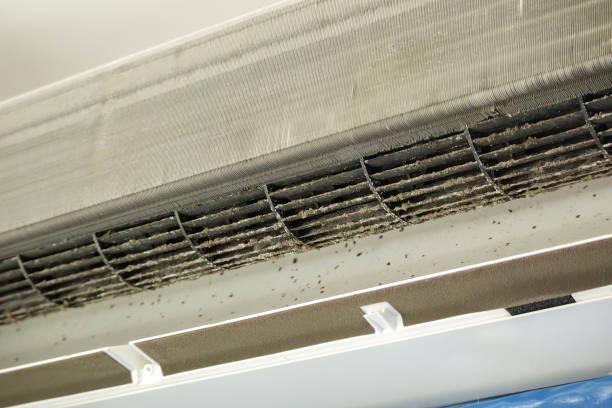 Best Ventilation Cleaning Services  in Mattydale, NY